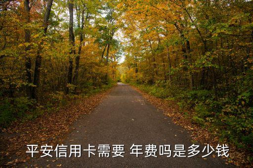 平安標(biāo)準(zhǔn)白金卡 年費(fèi)多少錢,平安精英白金卡年費(fèi)600剛性收取