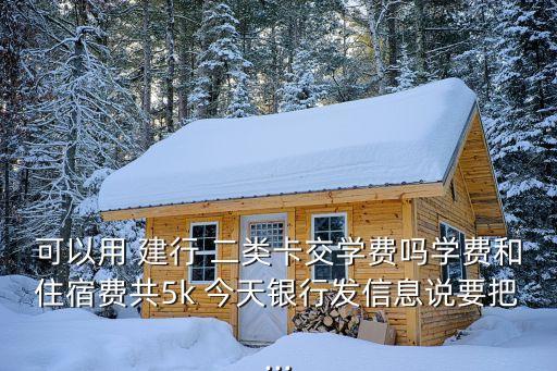 建行二類卡年費多少錢
