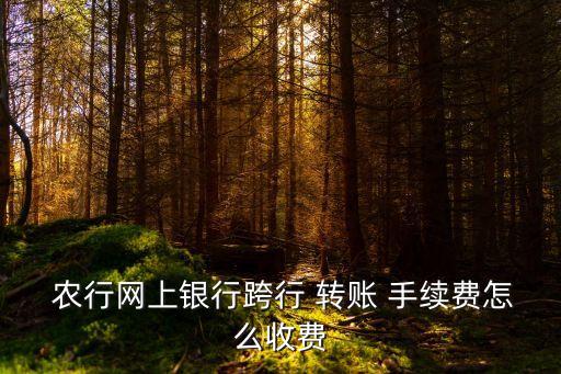 農(nóng)行夸省轉(zhuǎn)賬手續(xù)費(fèi)多少,農(nóng)行app轉(zhuǎn)賬要手續(xù)費(fèi)嗎