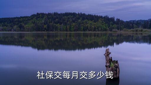 2015統(tǒng)籌交多少錢,統(tǒng)籌最低交多少錢一個月