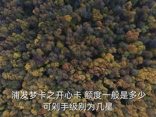  浦發(fā)夢卡之開心卡 額度一般是多少可剁手級別為幾星