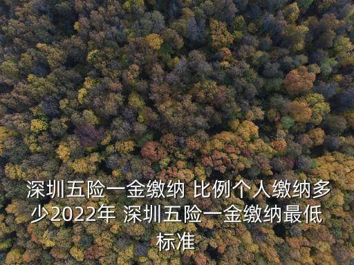 深圳社保購買比例是多少錢