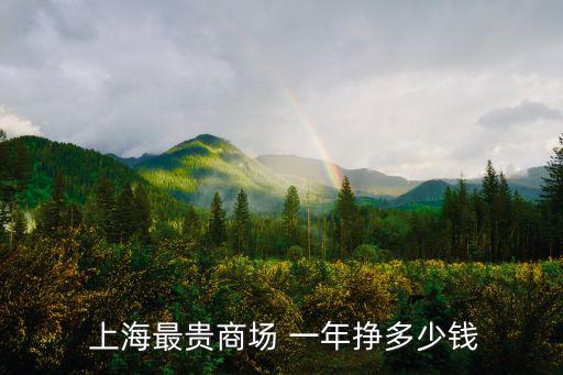  上海最貴商場(chǎng) 一年掙多少錢(qián)