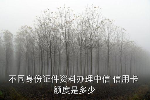 不同身份證件資料辦理中信 信用卡 額度是多少