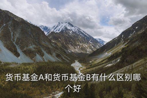 202301 南方現(xiàn)金增利貨幣(a類) 服務(wù)費多少