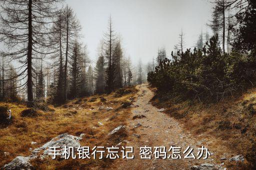  手機銀行忘記 密碼怎么辦
