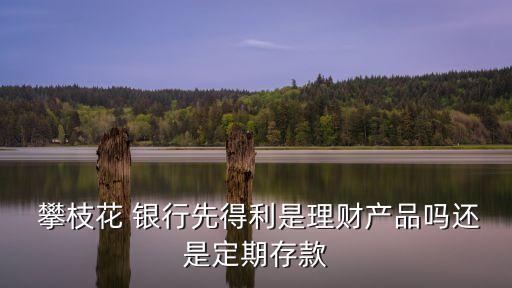  攀枝花 銀行先得利是理財(cái)產(chǎn)品嗎還是定期存款