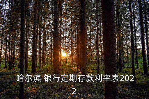 哈爾濱銀行能取多少