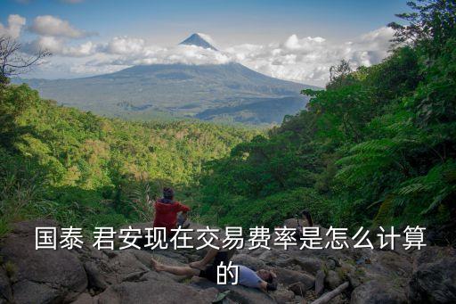  國(guó)泰 君安現(xiàn)在交易費(fèi)率是怎么計(jì)算的