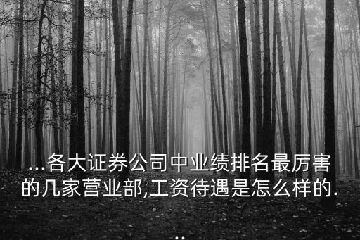 ...各大證券公司中業(yè)績(jī)排名最厲害的幾家營(yíng)業(yè)部,工資待遇是怎么樣的...