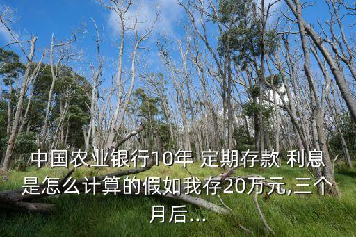 中國農業(yè)銀行10年 定期存款 利息是怎么計算的假如我存20萬元,三個月后...