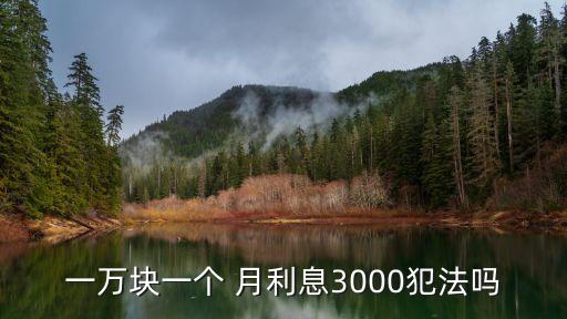 月利超過多少違法,月利不能超過多少