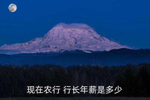 現(xiàn)在農(nóng)行 行長年薪是多少