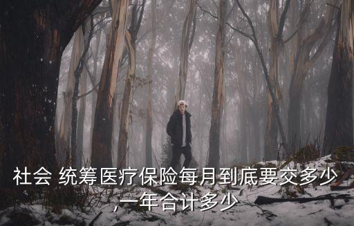 社會 統(tǒng)籌醫(yī)療保險每月到底要交多少,一年合計多少