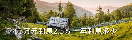 一年利率2.5是多少,利率一年2.15%萬塊錢一年利息多少