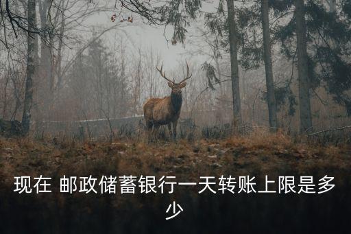 現(xiàn)在 郵政儲(chǔ)蓄銀行一天轉(zhuǎn)賬上限是多少