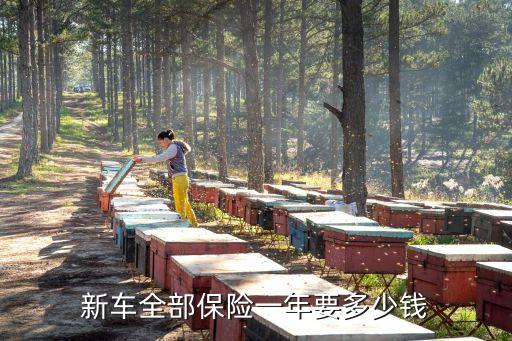 車保大概多少錢,車保第二年一般多少錢