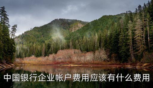 中行多少錢財富管理費,中行賬戶管理費是多少