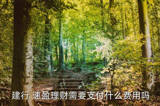 建行速盈可以買多少錢