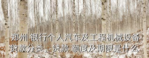  鄭州 銀行個(gè)人汽車及工程機(jī)械設(shè)備貸款分類、貸款 額度及期限是什么