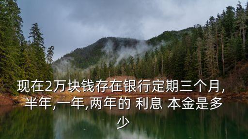 2萬(wàn)元存半年多少利息是多少錢,5000元存半年利息是多少
