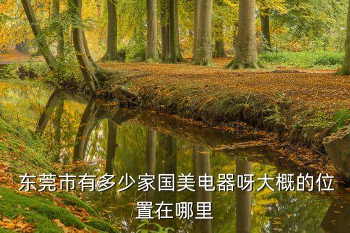  東莞市有多少家國(guó)美電器呀大概的位置在哪里