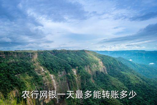  農(nóng)行網(wǎng)銀一天最多能轉(zhuǎn)賬多少