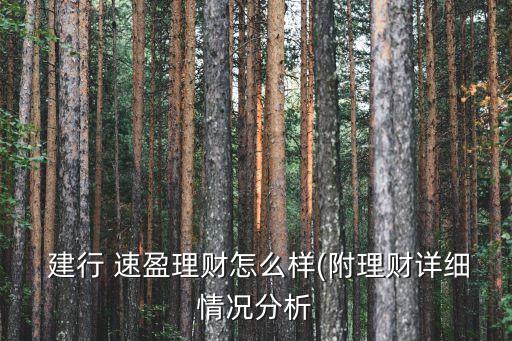  建行 速盈理財怎么樣(附理財詳細情況分析