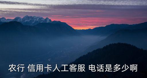 農行 信用卡人工客服 電話是多少啊