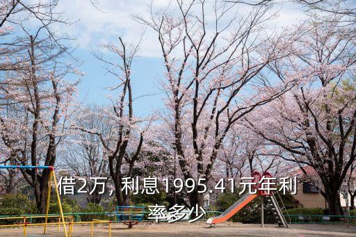 借2萬, 利息1995.41元年利率多少