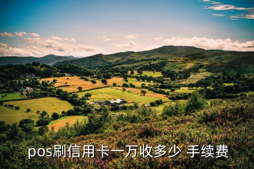  pos刷信用卡一萬收多少 手續(xù)費