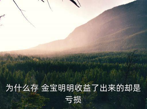 存金寶最多能買多少錢