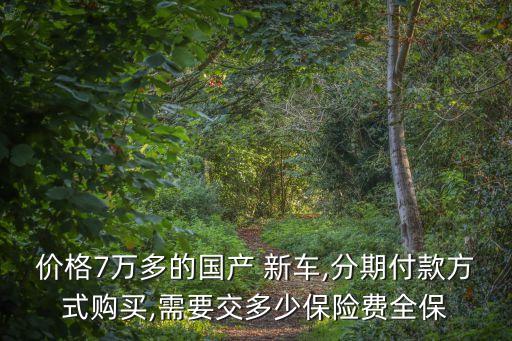 新車分期保險多少錢,新車保險第一年一般多少錢