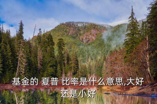 基金的 夏普 比率是什么意思,大好還是小好
