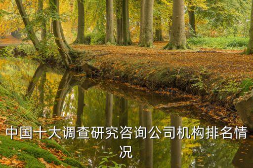 中國十大調(diào)查研究咨詢公司機(jī)構(gòu)排名情況