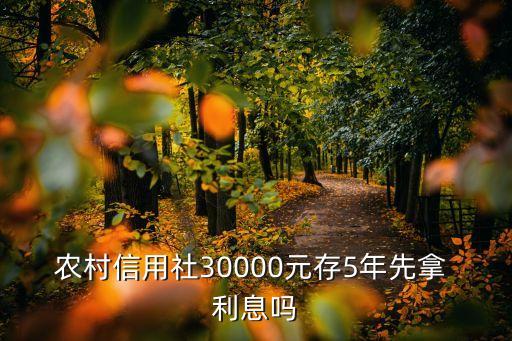 農(nóng)村信用社30000元存5年先拿 利息嗎