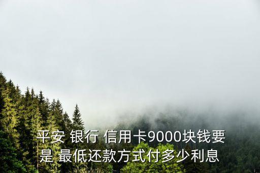  平安 銀行 信用卡9000塊錢要是 最低還款方式付多少利息