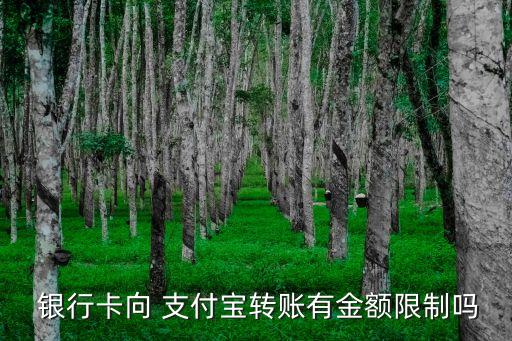 銀行卡轉(zhuǎn)支付寶限額多少錢,為什么銀行卡轉(zhuǎn)支付寶有限額