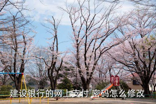 建設(shè)銀行的網(wǎng)上支付 密碼怎么修改