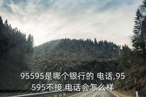 95595是哪個銀行的 電話,95595不接 電話會怎么樣