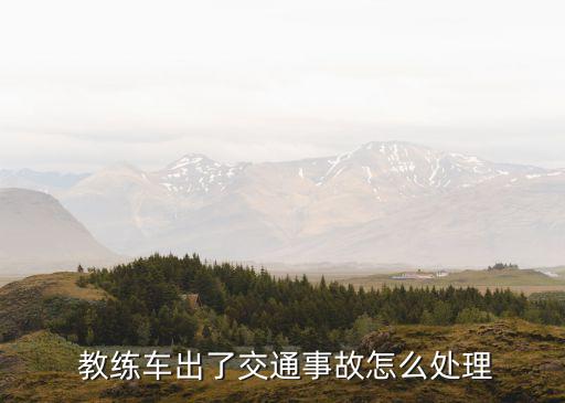 教練車保險(xiǎn)賠多少錢(qián),請(qǐng)問(wèn)一輛教練車的保險(xiǎn)要多少了