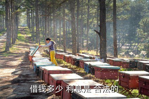 借錢(qián)多少 利息是 合法的