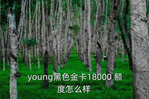 招商銀行信用卡 young卡額度是多少