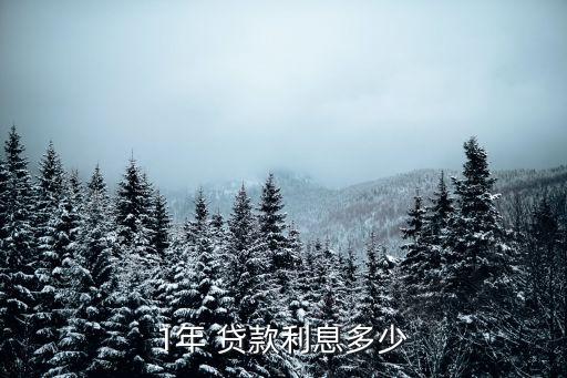 一年期貸款的基準(zhǔn)利率是多少錢,中國人民銀行一年期貸款基準(zhǔn)利率