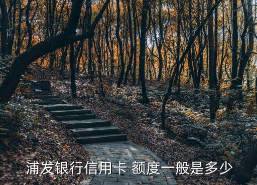  浦發(fā)銀行信用卡 額度一般是多少