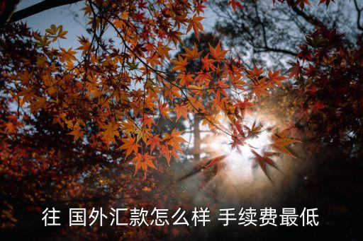 往 國(guó)外匯款怎么樣 手續(xù)費(fèi)最低