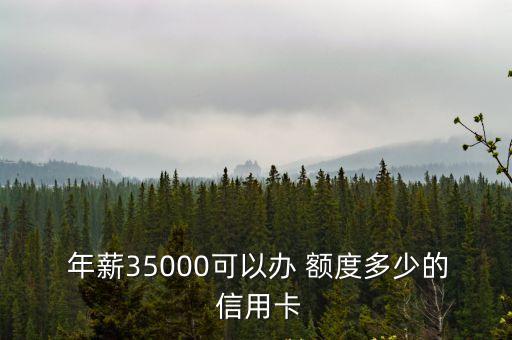  年薪35000可以辦 額度多少的 信用卡