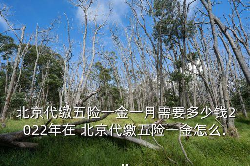  北京代繳五險(xiǎn)一金一月需要多少錢2022年在 北京代繳五險(xiǎn)一金怎么...