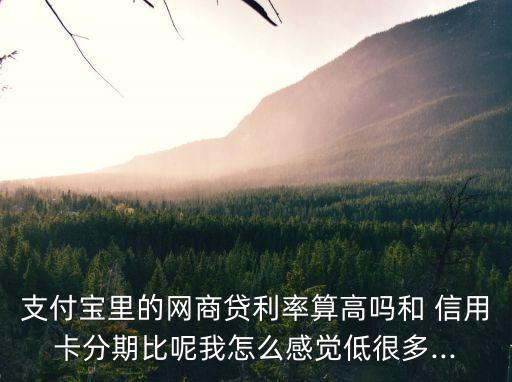 網(wǎng)上貸和信用卡利息多少錢,信用卡貸30000利息多少