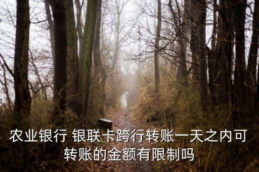 農業(yè)銀行 銀聯(lián)卡跨行轉賬一天之內可轉賬的金額有限制嗎